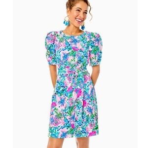 NWT - Lilly Pulitzer Harriet Dress- Mandevilla Baby Paradise Petals